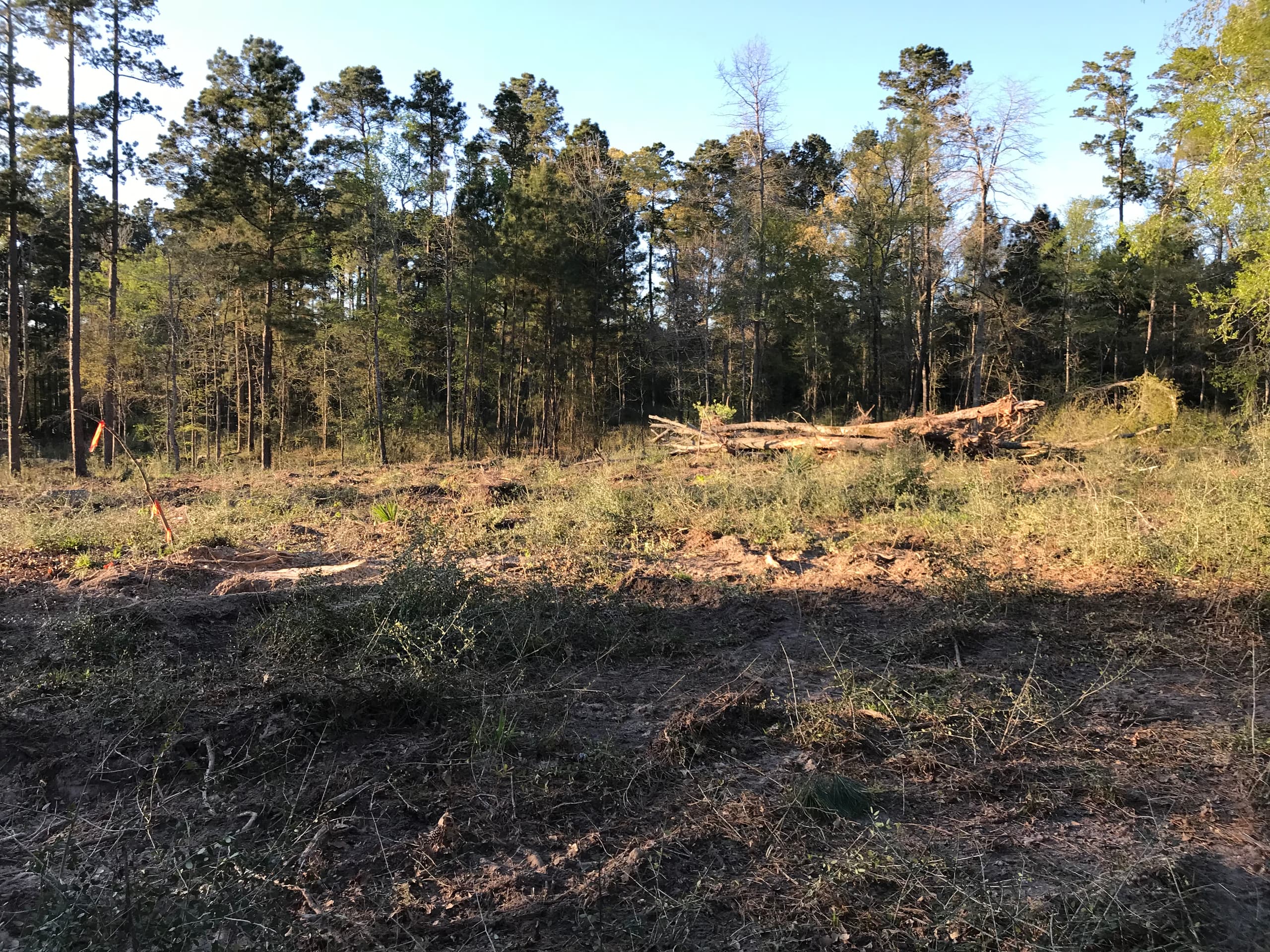 Commercial Land Clearing services in East Texas