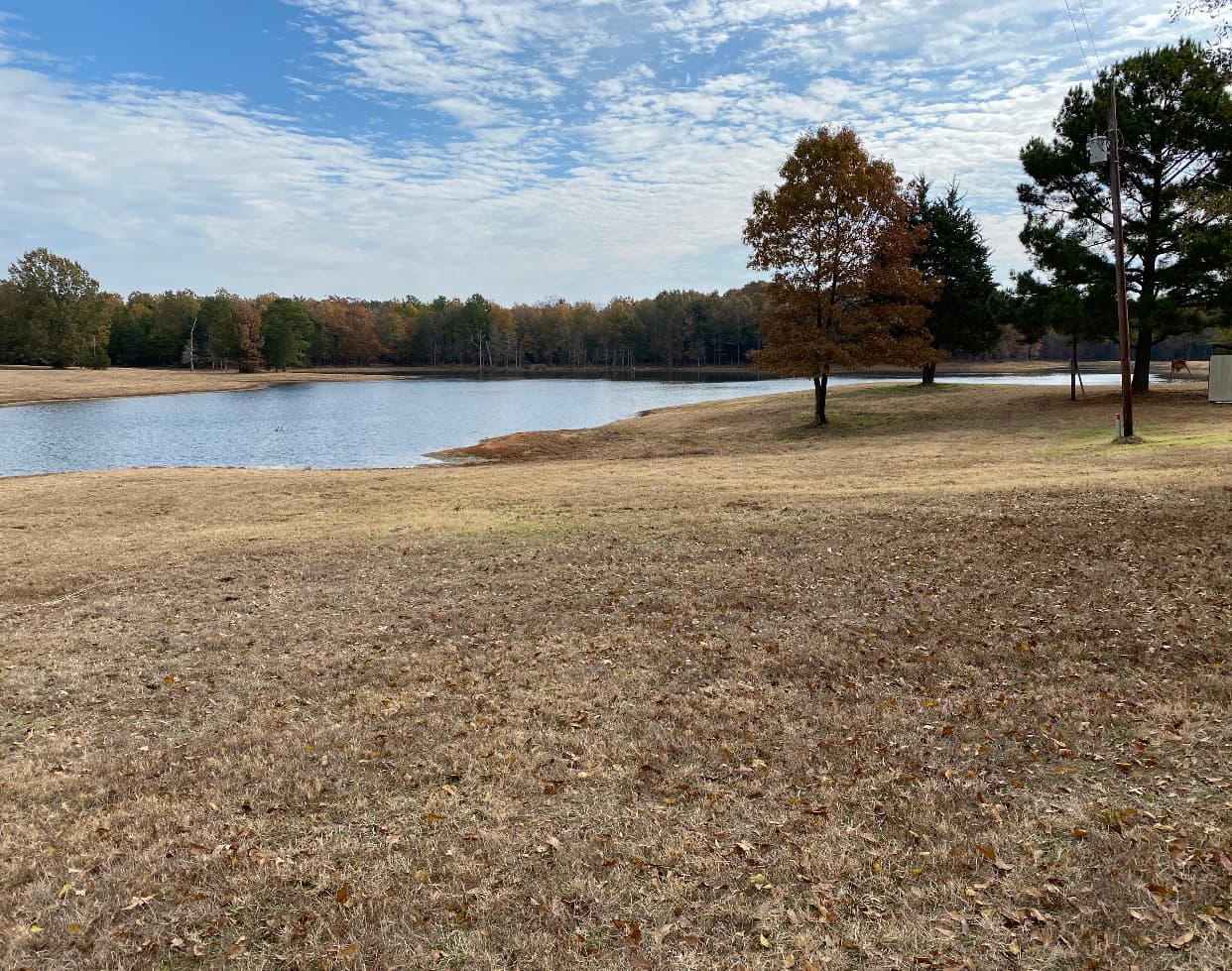 Livestock Pond Construction services in East Texas